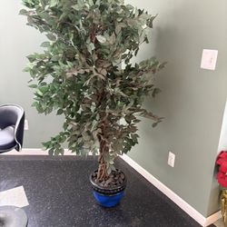 plantern plastic with blue pot 6 ft