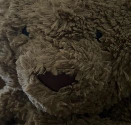 Jellycat Plush Stuffed Animal Toy