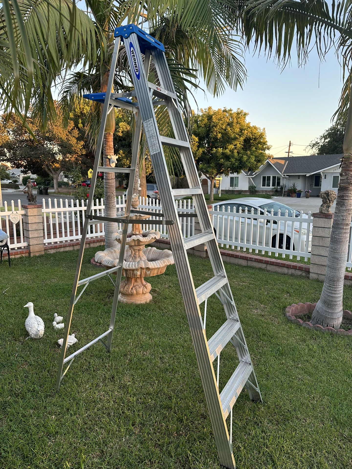 Ladder 🪜