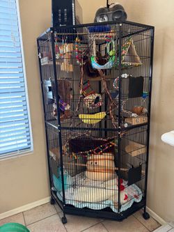 Large bird cage
