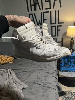 Bike Sb Dunks