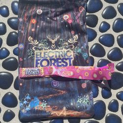 Electric Forest 2025 Ga