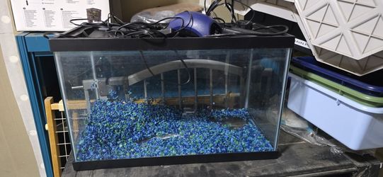 10 Gallon Tank Setup