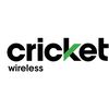 Placentia Cricket
