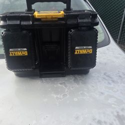 Delwalt Tough System 2.0 Flopd Light 4000 Lumens And Is A Fast Charger As Is.