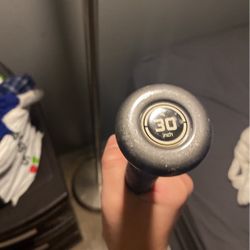 green Easton bat s450  