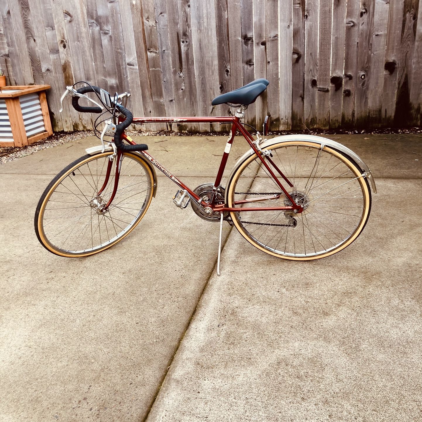 schwinn caliente bicycle 24