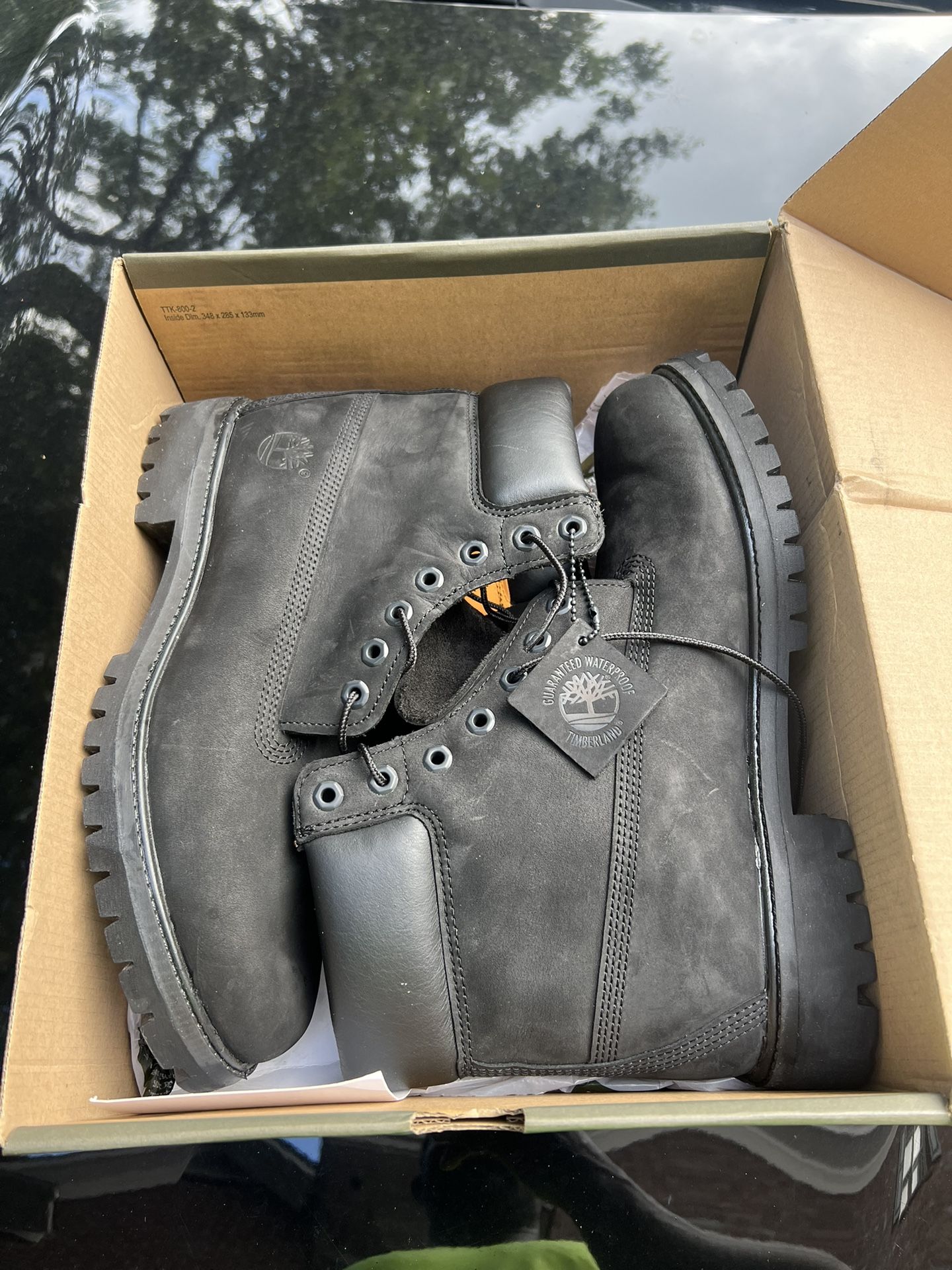 Timberland Shoe