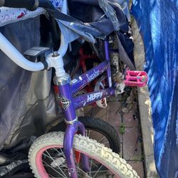 boy and girl bikes for kids 