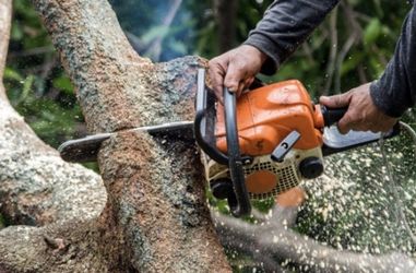 I Do Tree Trimming
