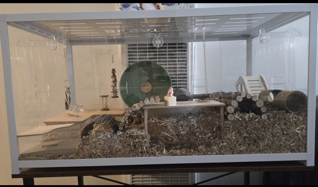 Hamster/Gerbil Cage Kit With Custom Decorations