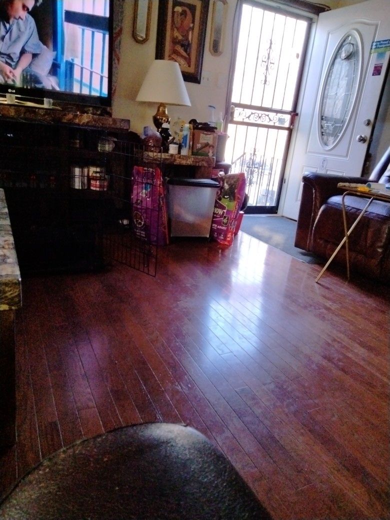 Puppies Supplies
