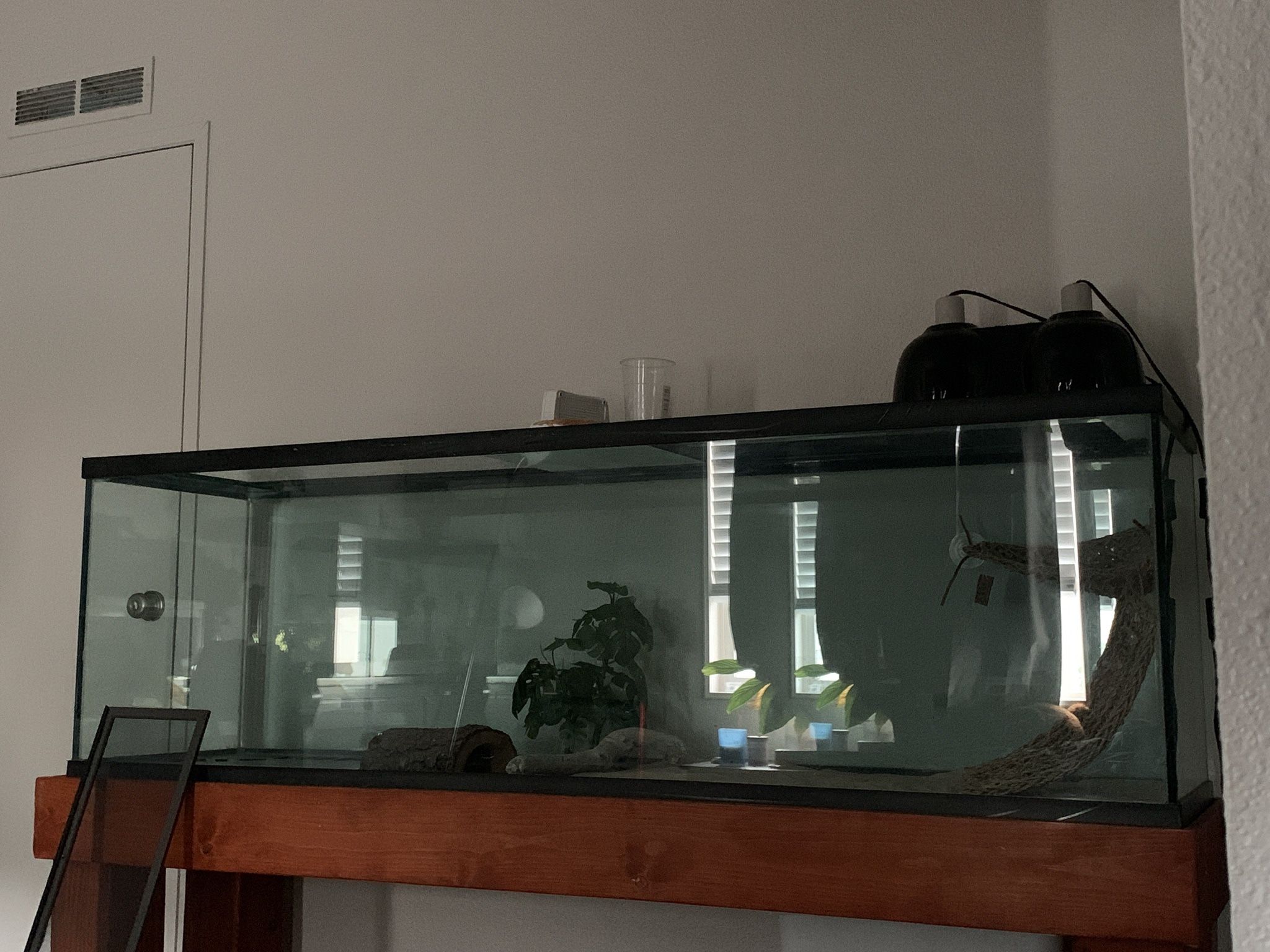 120 Gallon Reptile/Fish tank
