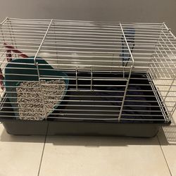 Ferret And Cage For Sale 
