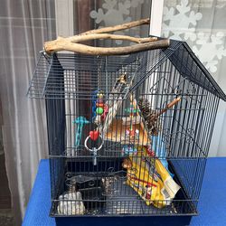 Bird Cage