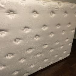 Full Size Mattress.