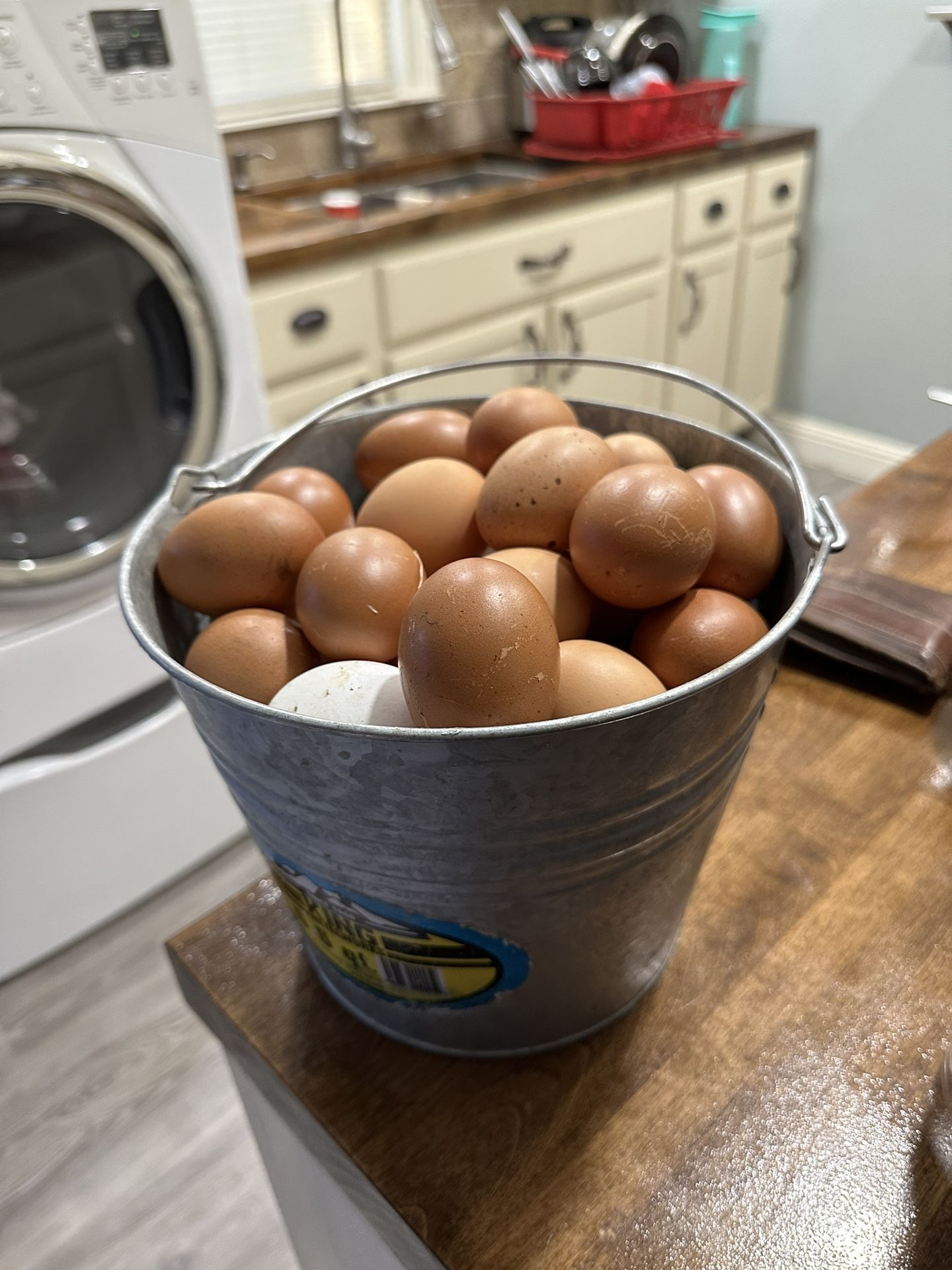 Eggs, Huevos