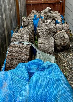 FREE Wood