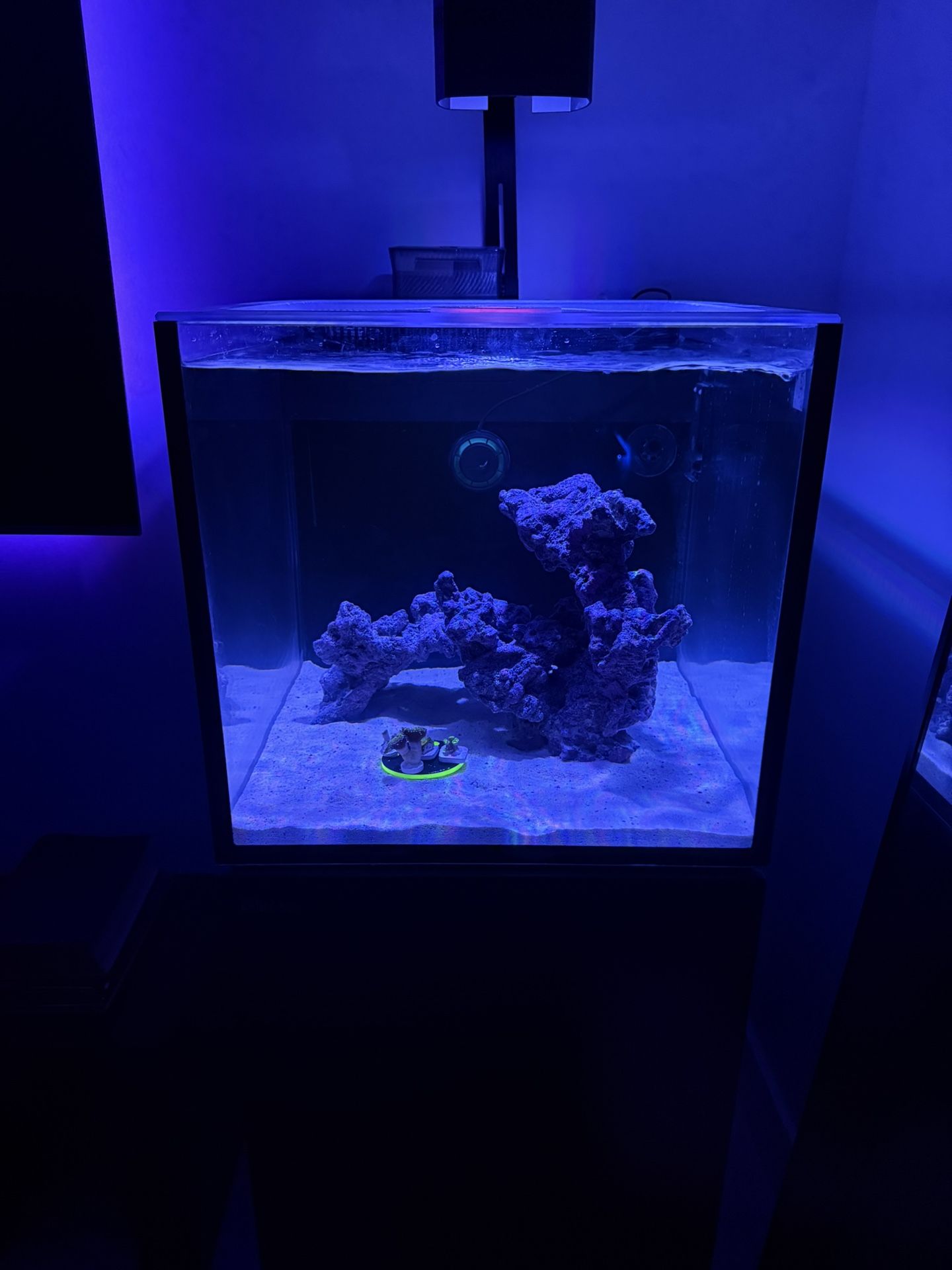 Red Sea Peninsula Max Nano