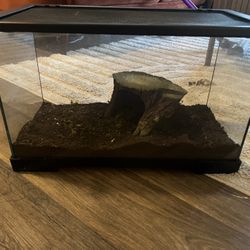 10 Gallon Reptile Tank