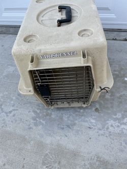 Dog and Cat Kennel