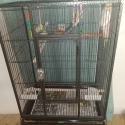 Two Cockatiels With Cage On Stand Toys Food Included