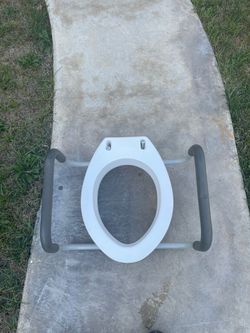 Caress assistant toilet