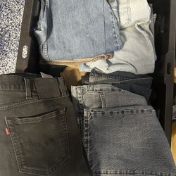Work Pants Levi’s,Pacsun,511