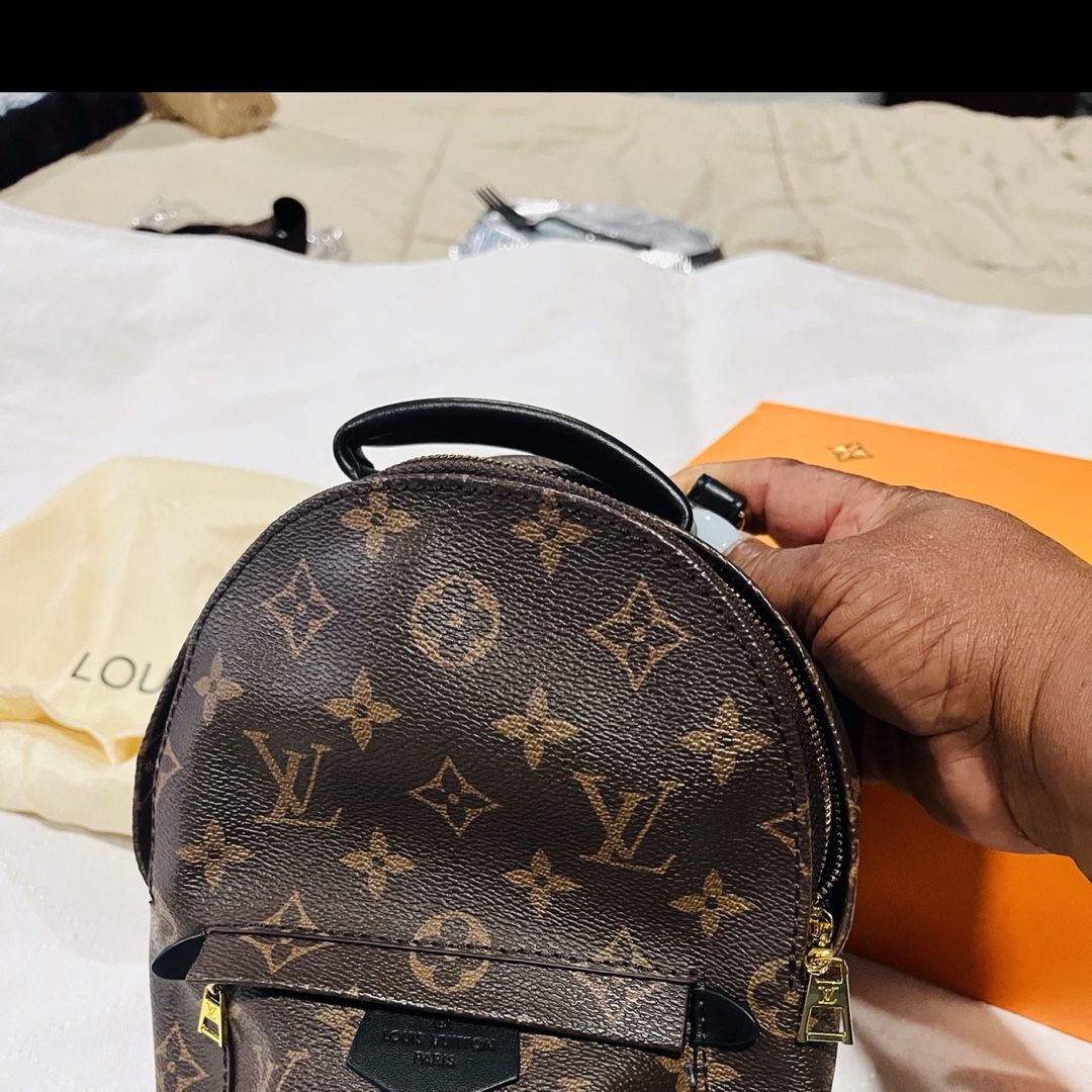 Louis Vuitton Palm Springs Mini Backpack for Sale in Houston, TX - OfferUp