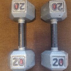 20 Lb Weights A Pair 