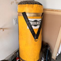 Punching Bag Prolast 