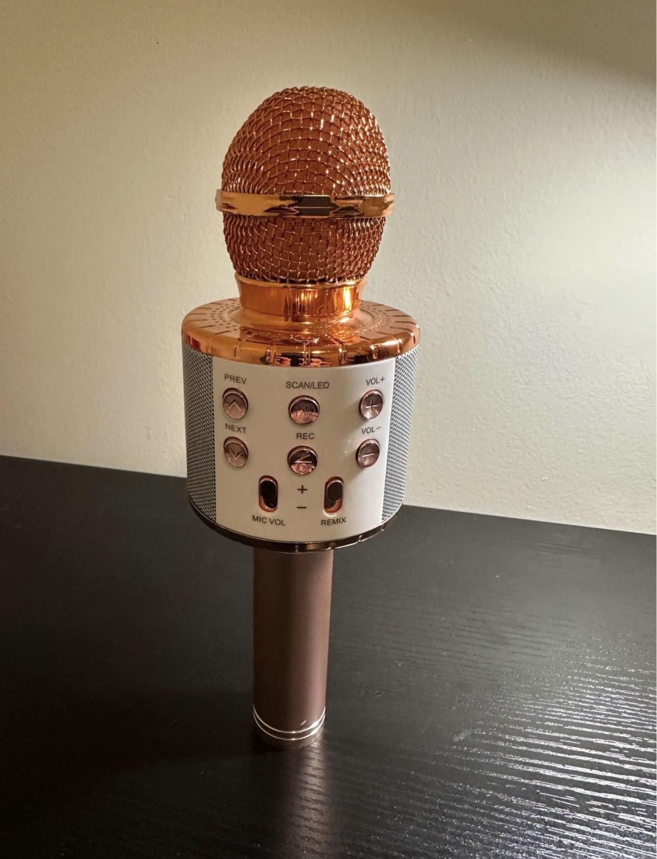 Karaoke Microphone 3 in 1 Portable Bluetooth Handheld Karaoke Mic Speaker Machine, Birthday Party