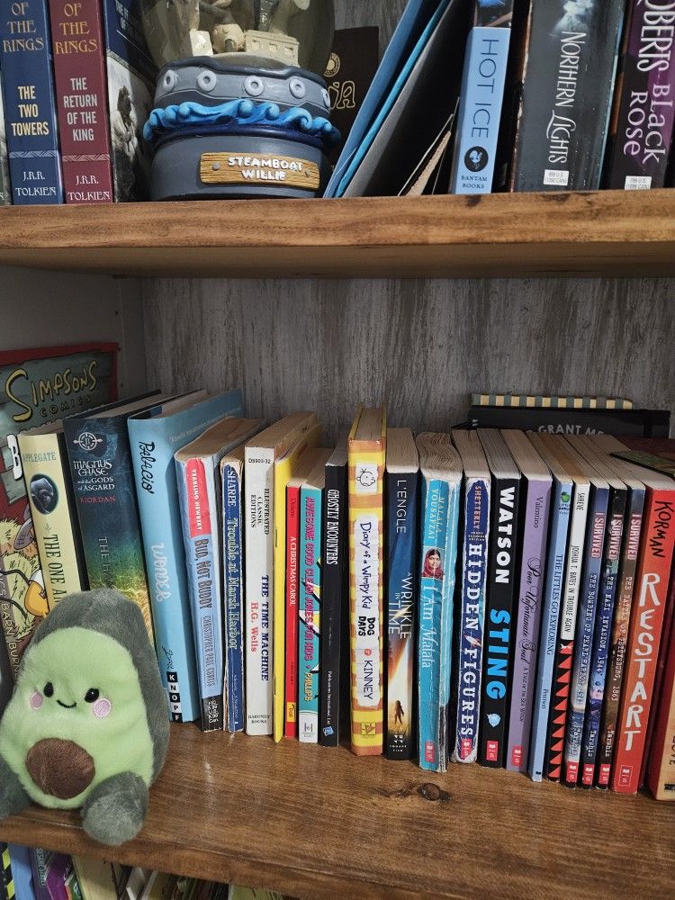 Teen Book Collection 