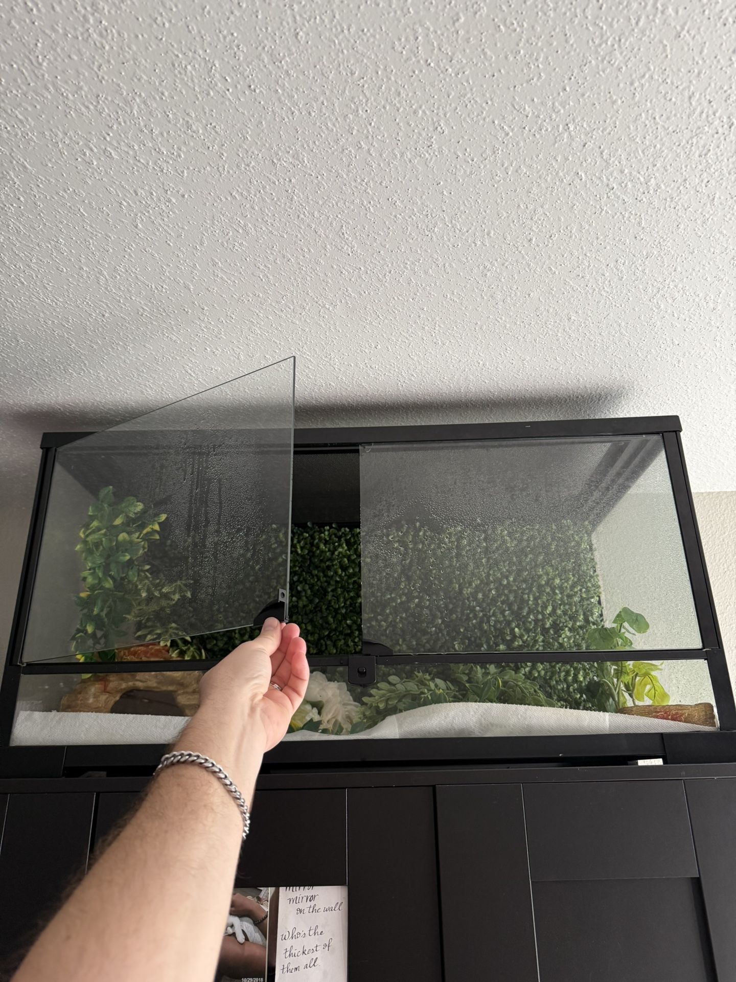 Huge Reptile Tank With Double Doors.