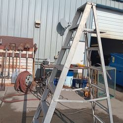  Ladder 