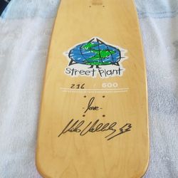 Skateboard  barnyard Mike valley