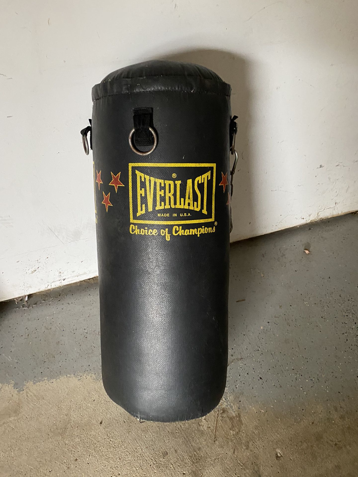 Everlast Punching Bag