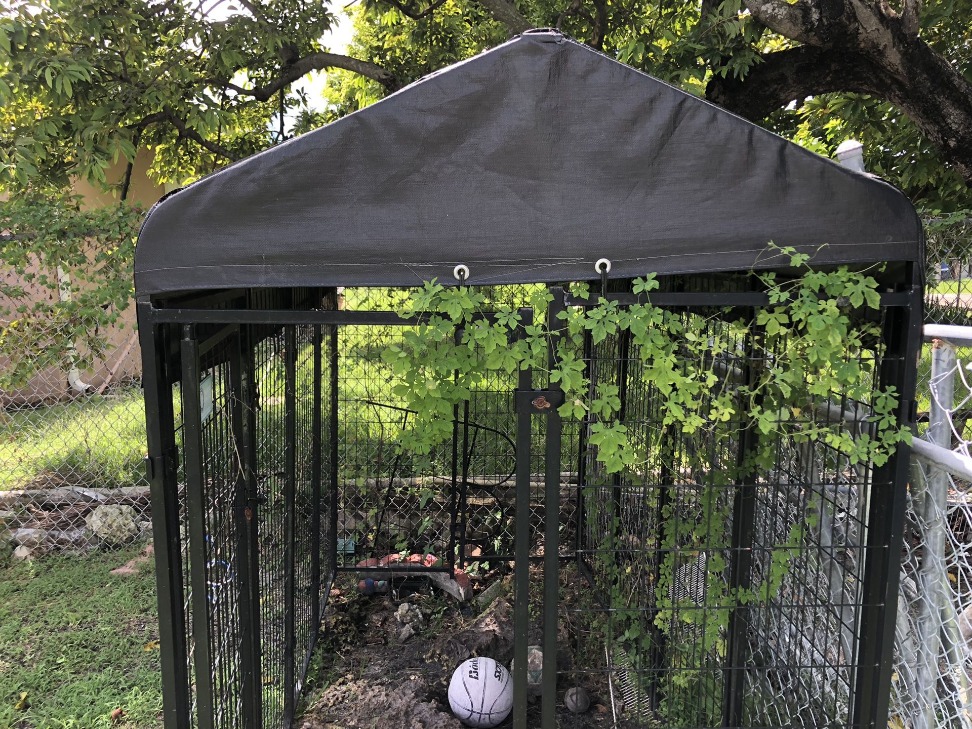 Used Dog Cage Good for shade or when you have a barbecue & so you can put your dog away so he won’t be on everyone food or all over little kids new l