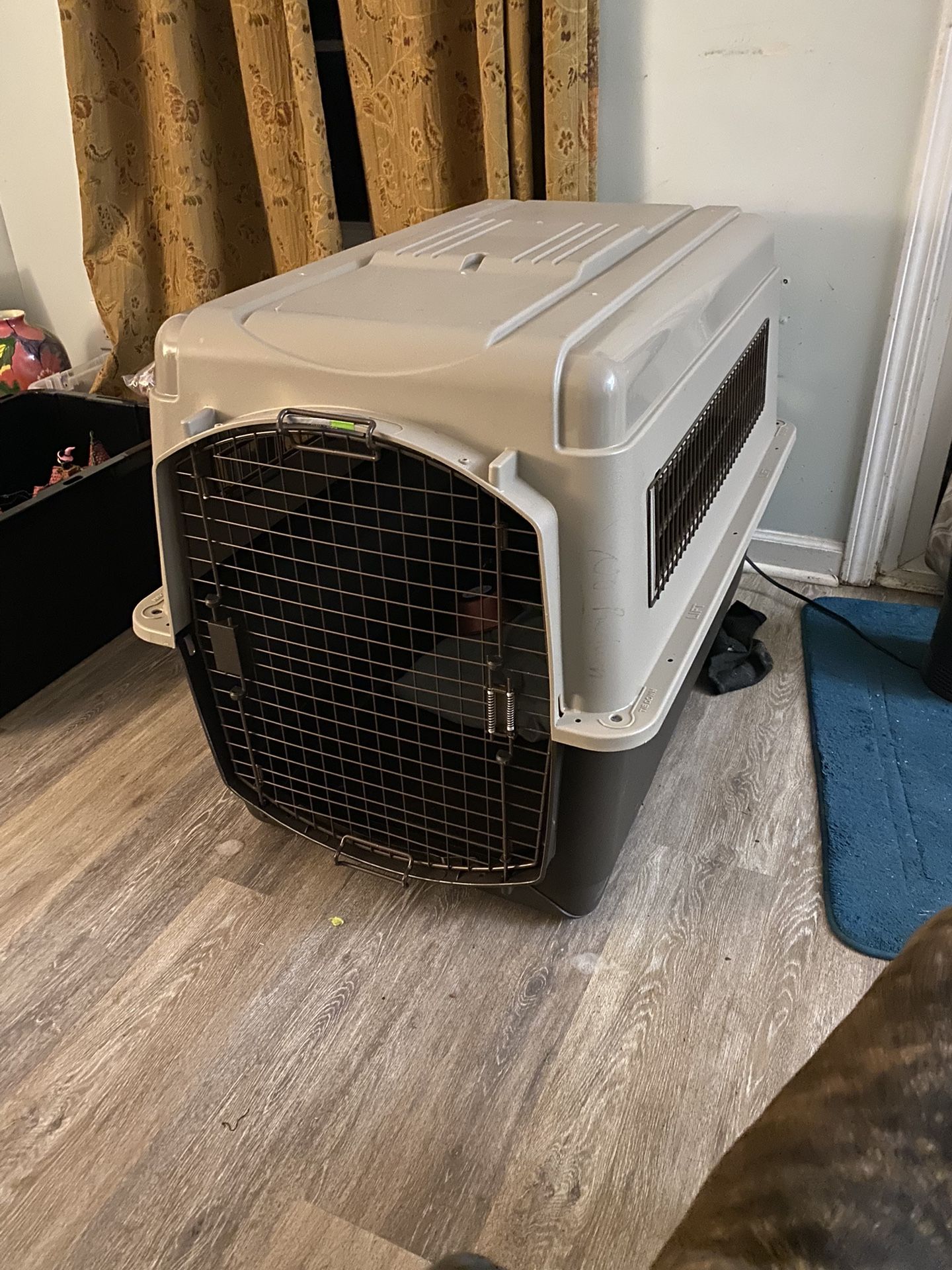 Large Dog Kennel