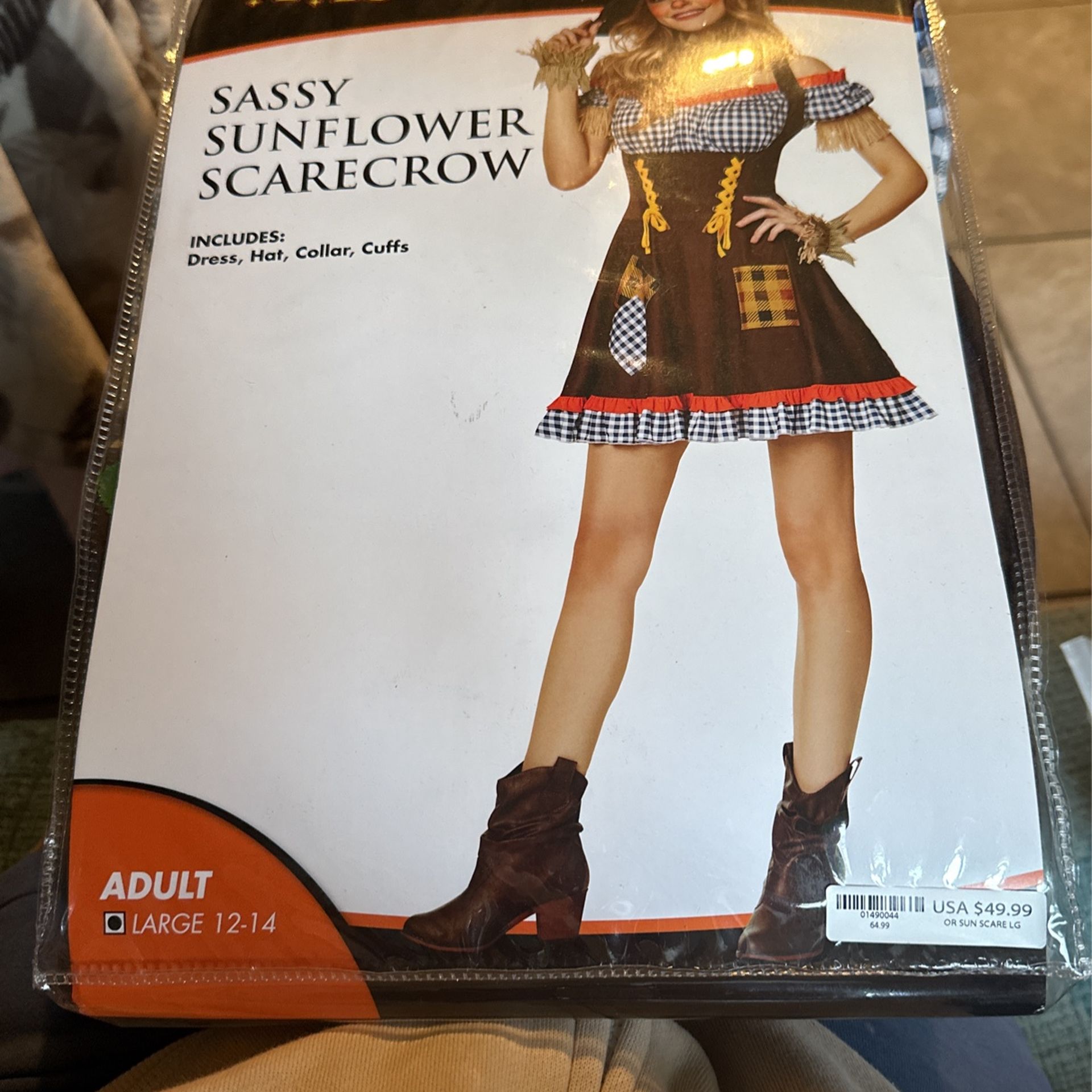 Sassy Sunflower Scarecrow costume