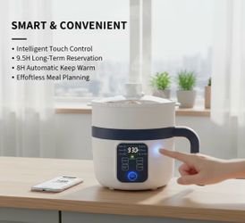 Brand new small rice cooker with steaming rack
