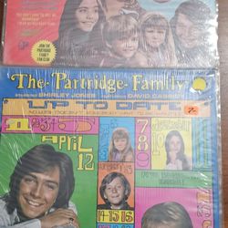 The Partridge Family Vinyl Records