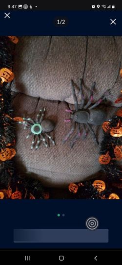 Halloween Decorations