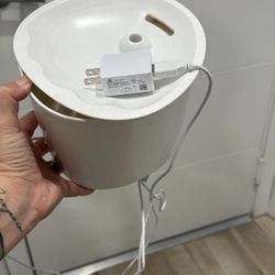 Cat Water Fountain $5