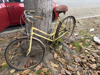 Vintage 1973 Schwinn Varsity Bicycle Original