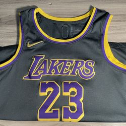 Los Angeles Lakers LeBron James #23 Nike 2021 XLG Swingman Jersey Earned Edition