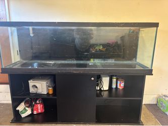 125 gallon fish tank