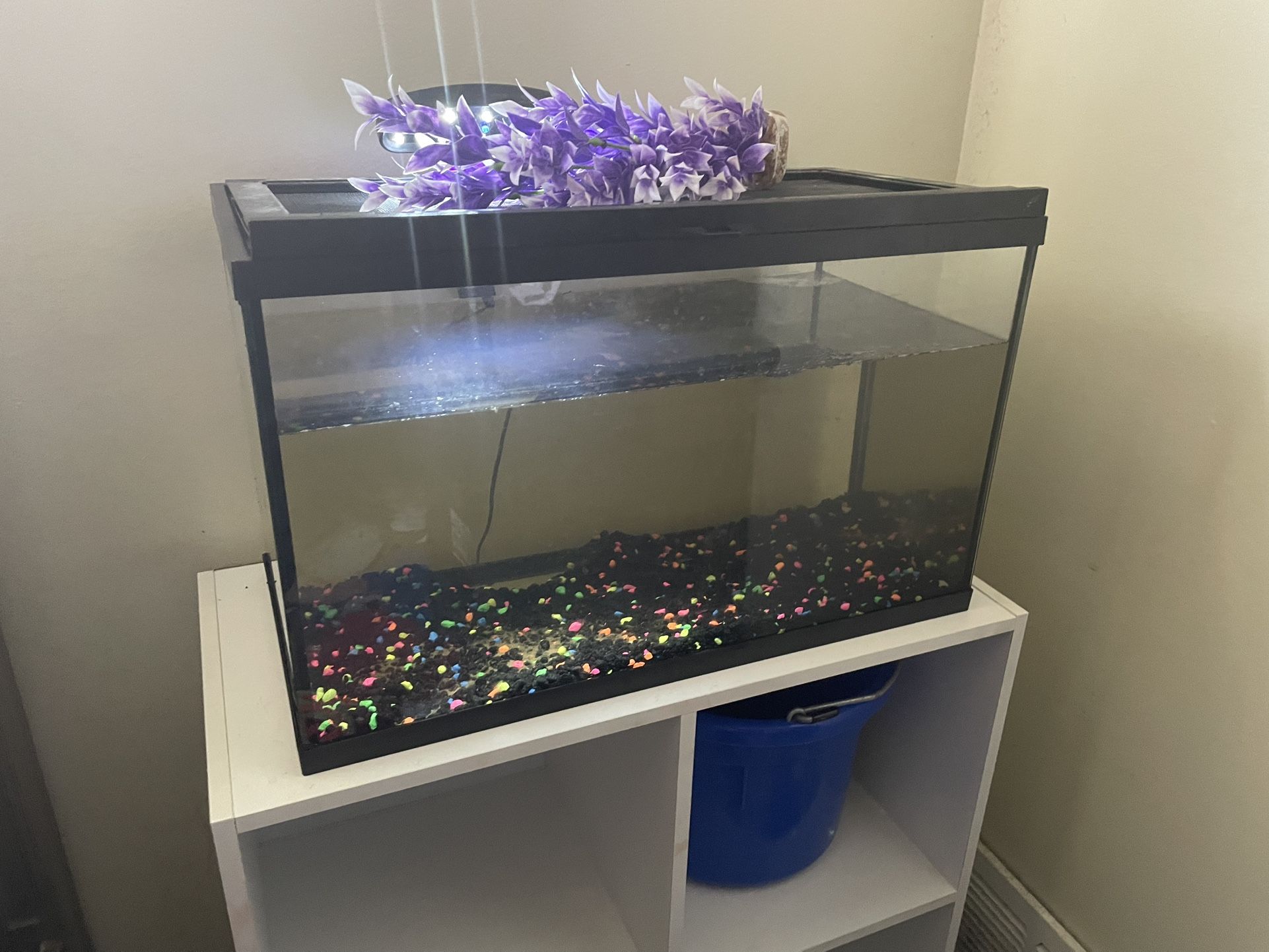 Fish Tank 50 Obo