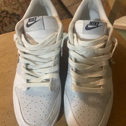 white / silver nike dunks