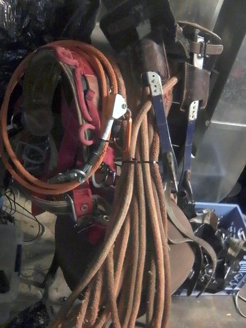Lineman Saddle And Tree Climber Spikes